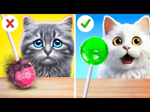 From Brides to Baddies! 💥 Makeovers & Hidden Beach Secrets!