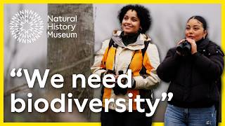 Why does biodiversity matter? | Fixing Our Broken Planet
