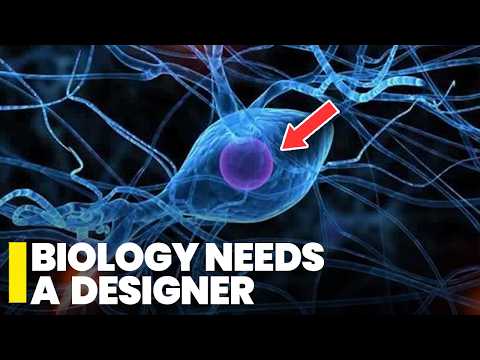 Design Demands a Designer...Even in the Cell