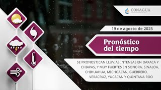 19 de agosto de 2025 8h