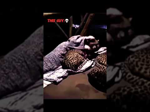 Wait for the end to see the leopards love ๐ญโค๏ธ #leopards #animals