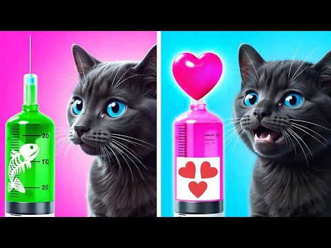 Genius Pet Hacks You’ll Wish You Knew Sooner! 🐶🐾 Smart DIYs & Cool Gadgets!