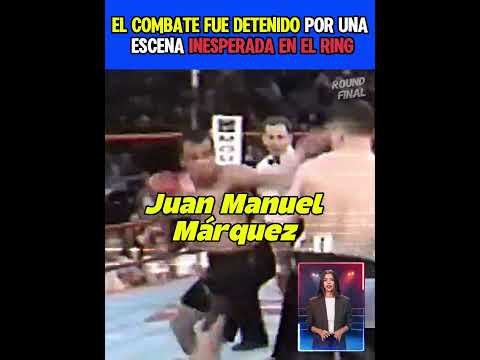 Juan Manuel Marquez vs Robbie Peden #boxeo #boxing #boxeomexicano #box #knockout