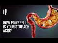 Understanding Stomach Acid and Its Importance