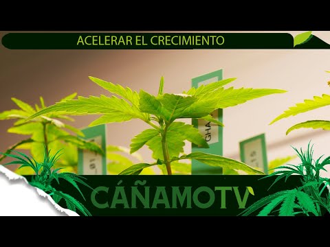 CÓMO ACELERAR EL CRECIMIENTO DE TUS PLANTAS EN INTERIOR 💡 Mars Hydro FC-E4800