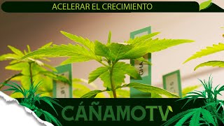 CÓMO ACELERAR EL CRECIMIENTO DE TUS PLANTAS EN INTERIOR 💡 Mars Hydro FC-E4800