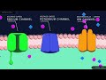 Neuronal Function and Ion Channels