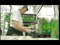 Scientific Eye: The Importance of Plants