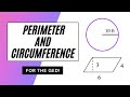 Perimeter and Area Concepts