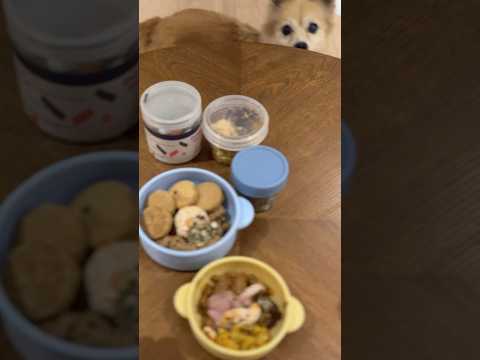 요즘은 강생이덜이랑 놀러다니기 좋은 세상이네요