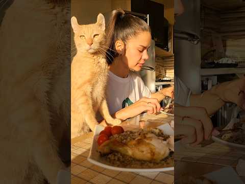 Еда для котов-человеков)