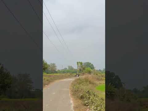 Tiger Aaj bhagne wala tha || Vlog video || #sadikpigeon #vlog #vlogs #vlogger #vlogging #vlogvideo