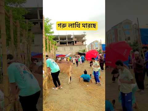 #shorts #viral #video