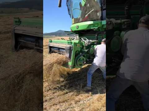 HARVESTING MACHINE CLOGGED INSIDE