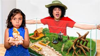 LE CONSTRUÍ UN HÁBITAT A UN POLLITO! 🐥