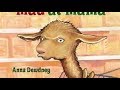 Llama's Shopping Adventure Questions