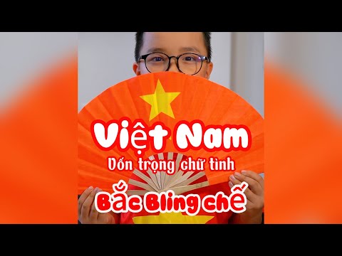 VIỆT NAM VỐN TRỌNG CHỮ TÌNH - Nhạc chế BẮC BLING