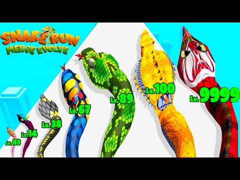 Snake Merge Evolve Runner Game - Snake Evolution