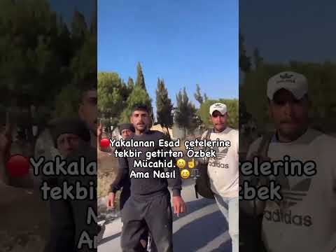 Türk’ün gücünü göreceksiniz☝🏻🇹🇷🇸🇾🐺