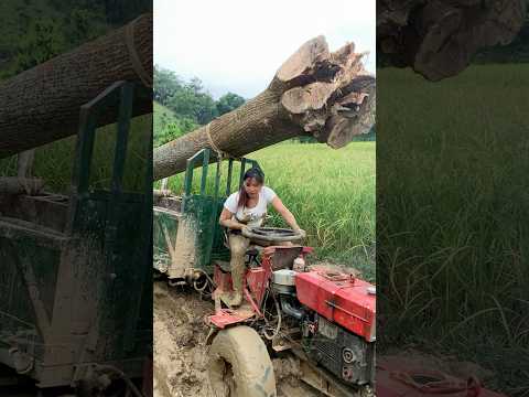 agricultural vehicle transporting wood