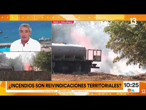 Tohá no descarta que incendios forestales sean por “reivindicaciones territoriales” |Tu Día|Canal 13