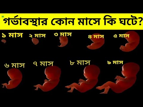 গর্ভের ভেতর প্রতি মাসে শিশুর কি পরিবর্তন হয়? | ৯টি মাসে শিশুর সাথে কি ঘটে? | ১ থেকে ৯ মাসের পরিবর্তন