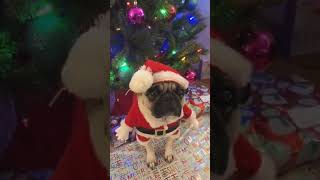 Wait for it…