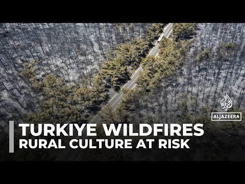 YouTube video thumbnail: Frequent Wildfires Reshape Turkiye’s Aegean Coast, Threatening Rural Livelihoods and Culture
