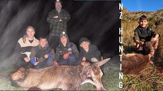 NZ DEER HUNTING
