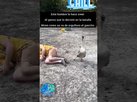 LA BATALLA MAS EPICA  #ganzo #humano