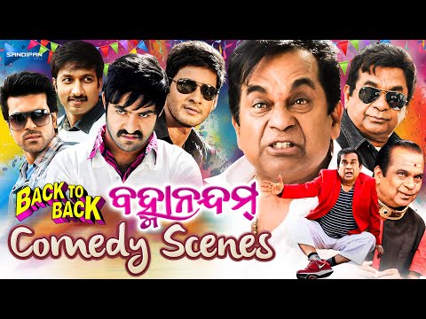 ବ୍ରହ୍ମାନନ୍ଦମ୍ କମେଡି | Bramhanandam Back To Back Comedy Scenes | Odia Movie Scene | New Film