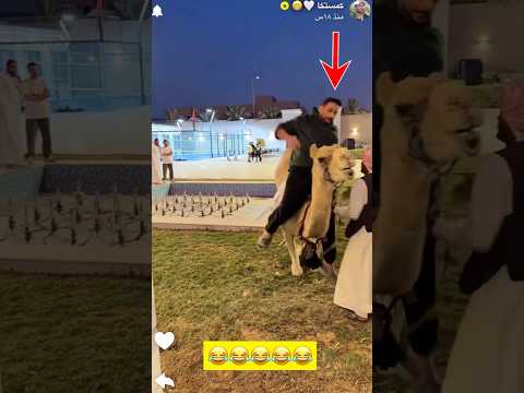 ุงุจู ููุญ ุทุงุญ ู
ู ุงููุงูู๐ช๐ด#ุจุงูุฑ #ุดููู #ุดููู_ุจููู #ููุฑููู #ูุงูุฑูุณ_ุจุงูุฑ #ูุงูุฑูุณ #ู
ูุฏู #ุจูุฏุฑูุชุง #ูุงููููุฒ