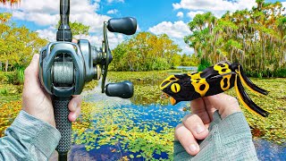 Exploring A HIDDEN Bass Paradise FULL Of Fish (New PB)
