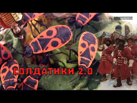 Клоп солдатик, часть 2. По мотивам комментариев. // Clever Cricket