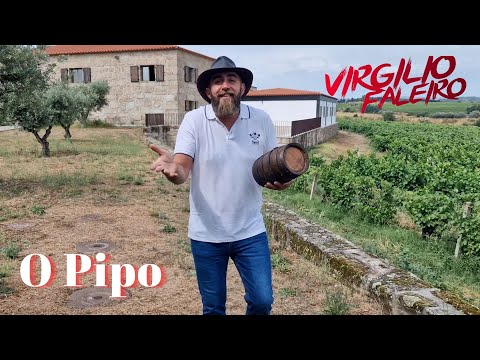Virgilio Faleiro - O Pipo (Visualizer)