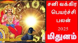 🔴சனி வக்கிர பெயர்ச்சி பலன் 2025/மிதுனம்   /Mithunam  /#astrologyjayakumar#astropapers