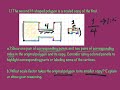 Scaled Polygons and Corresponding Parts