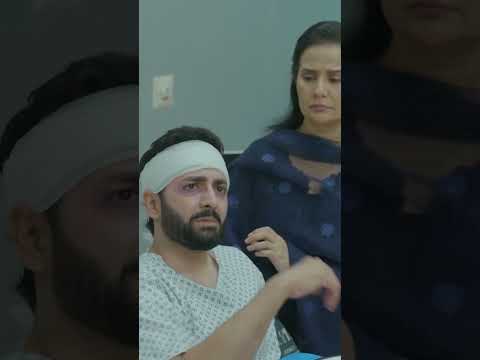 #sher Last Teaser🔥#shorts #danishtamoor #sarahkhan #shortsfeed #shortsviral #arydigital