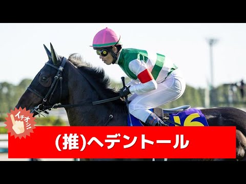 追い切り徹底解説！【ダイヤモンドステークス2025】へデントール、ワープスピードなどの状態はどうか？調教S評価は2頭！
