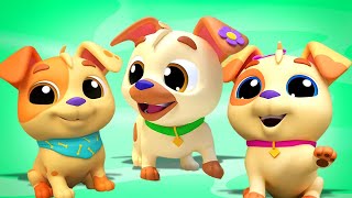 Five Little Puppies Preschool Nursery Rhymes & Baby Songs