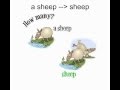 Mastering Irregular Plural Nouns in English