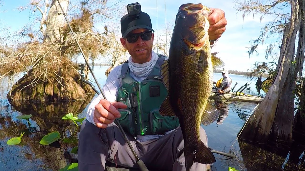 Fishing a New Topwater Bait for Big Bass Field Trips Florida