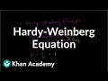 Exploring the Hardy-Weinberg Equation in Population Genetics