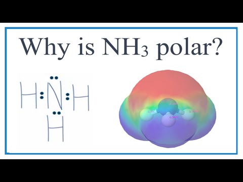 Why is NH3 (ammonia) polar?