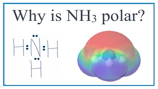 Why is NH3 (ammonia) polar?