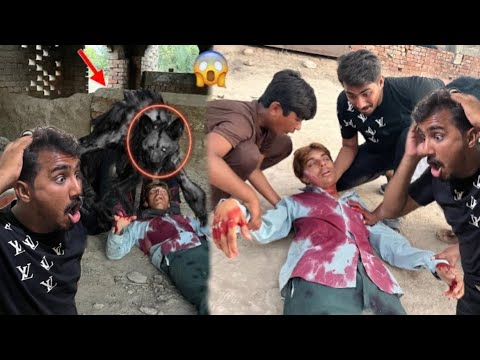 Talha Phr Dangerous Animal Na Attack Kar Diya 😱
