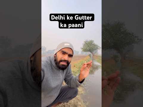 How Delhi’s sewage water is used for irrigation in Haryana . . #delhi #farmers #travelermohit