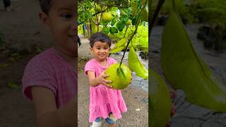 Tom 🍓Jerry (Dada&Dadi) Wait for end🤣🎈 #shorts