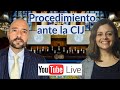 Principios y Procedimientos de la Corte Internacional