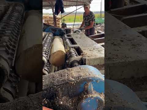 Tree straightness polishing process- Good tools and machinery make work easy